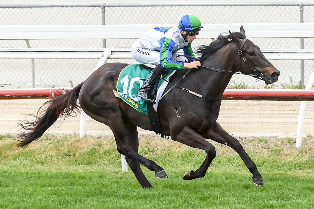 Popular Waikato Stud win in Australia | Waikato Stud