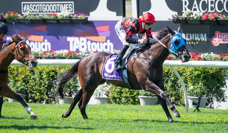 Stakes Winner Ocean Jewel