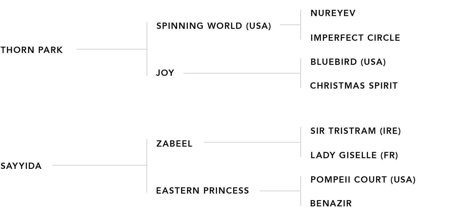 Pedigree chart