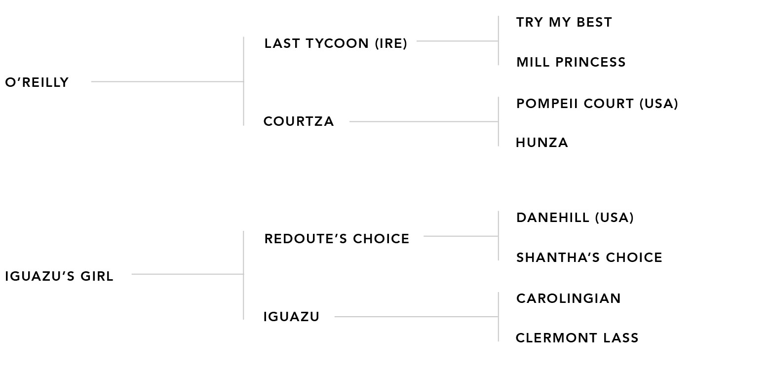 Pedigree chart