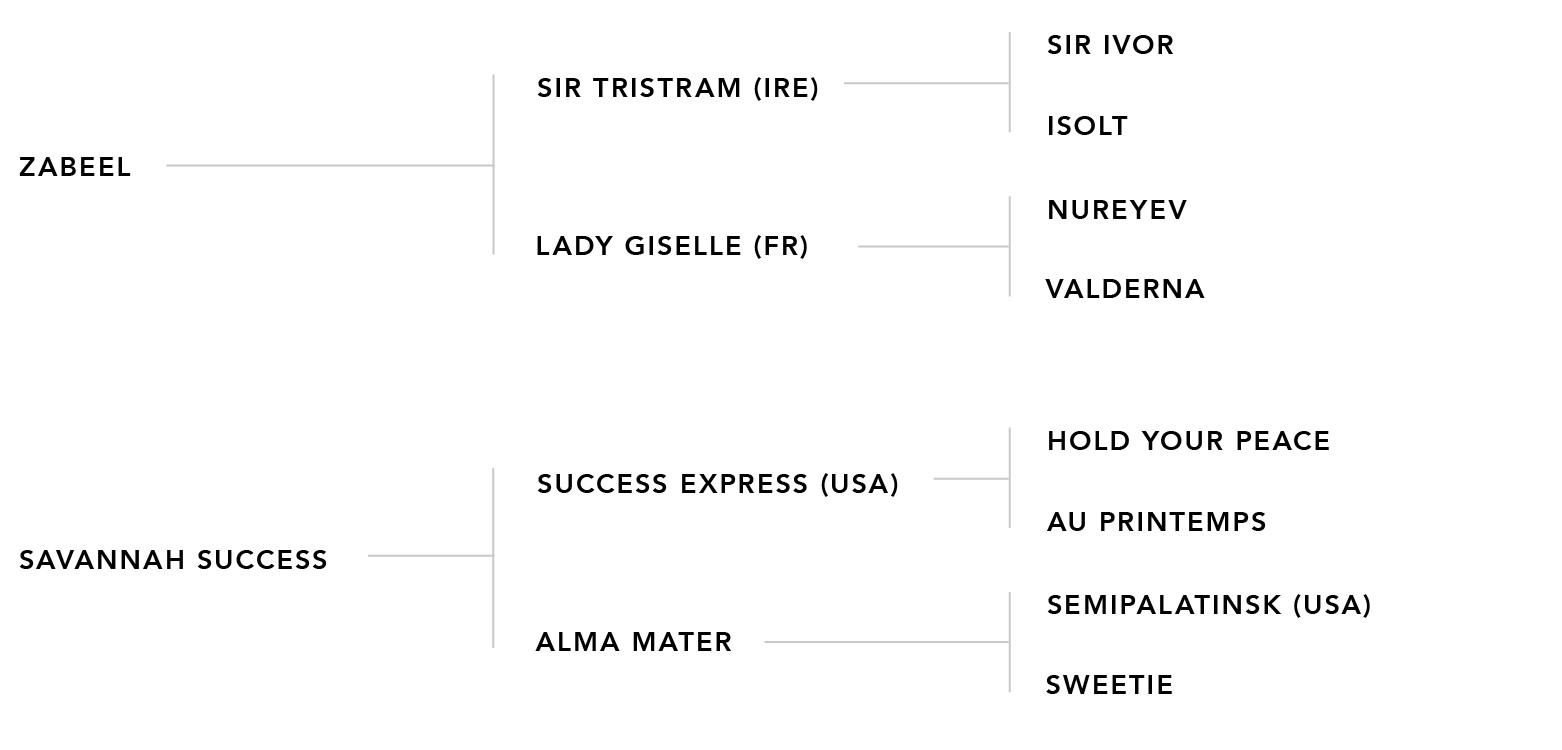 Pedigree chart