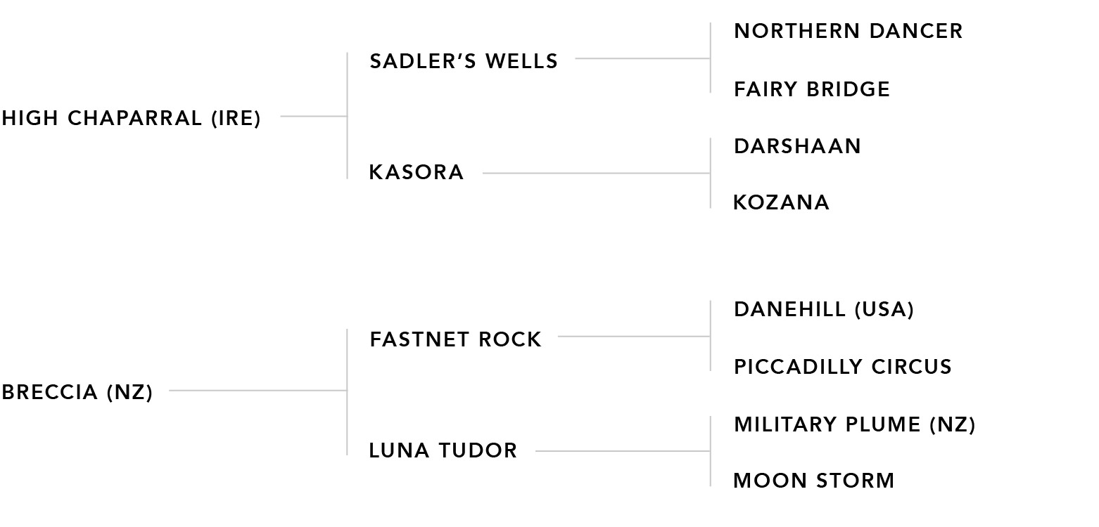 Pedigree chart