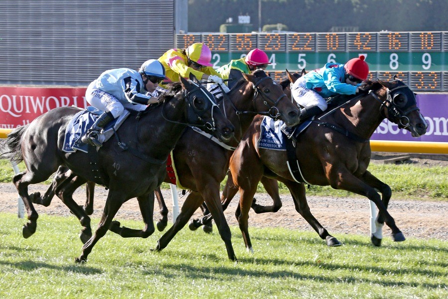 Jim Gibbs a man for all seasons Waikato Stud