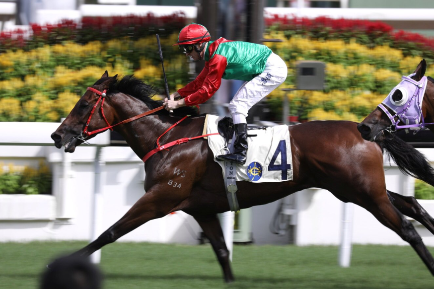 Stud stallions to fore as HK season opens | Waikato Stud