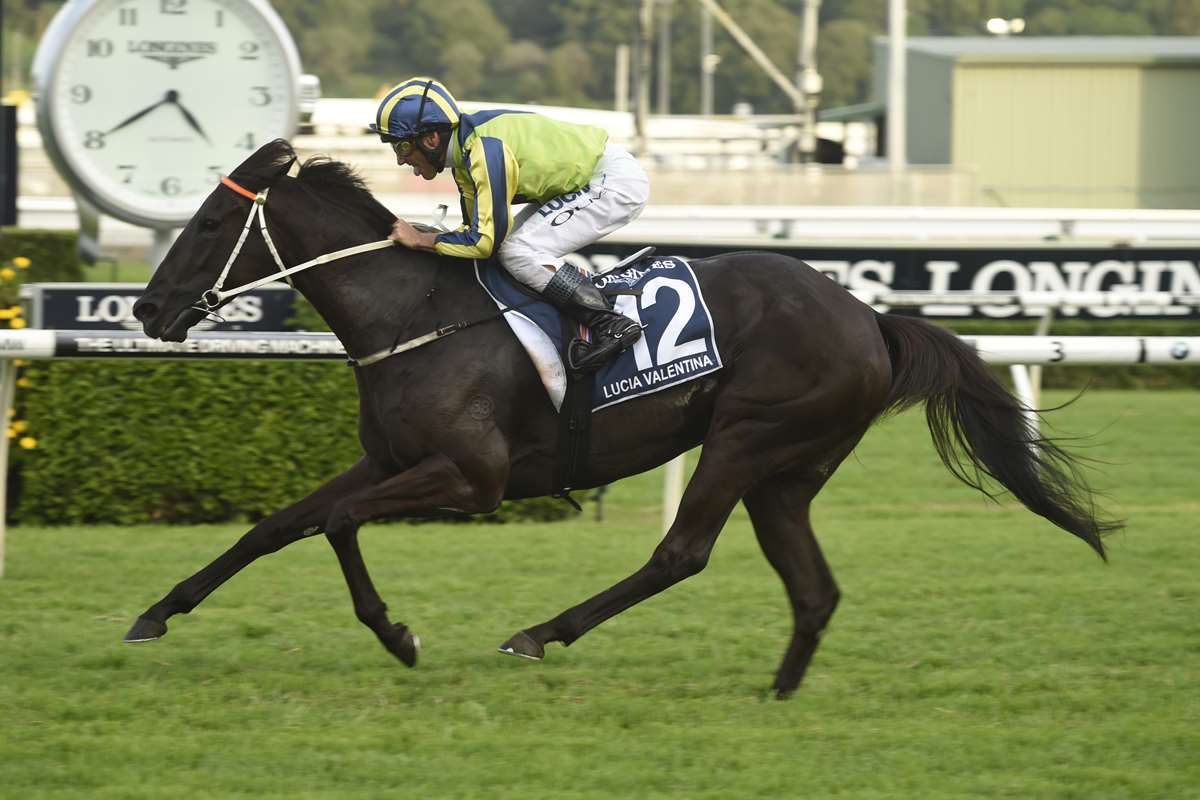 Lucia Valentina won the Gr.1 Queen Elizabeth Stakes, Gr.1 Turnbull Stakes and Gr.1 Vinery Stud Stakes.