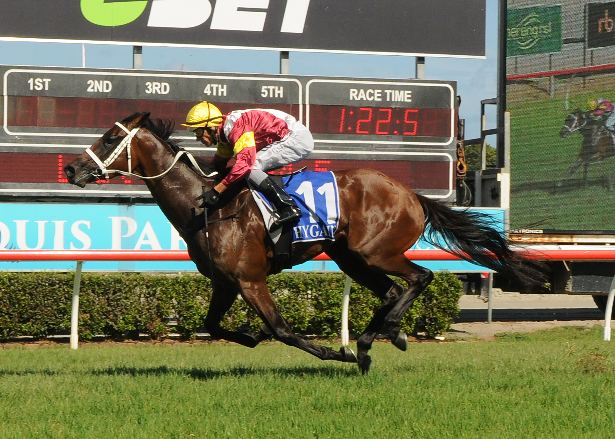 Another Dollar was runner-up in the Gr.1 QLD Oaks, Gr.2 The Roses and Listed Gold Coast Bracelet last season.