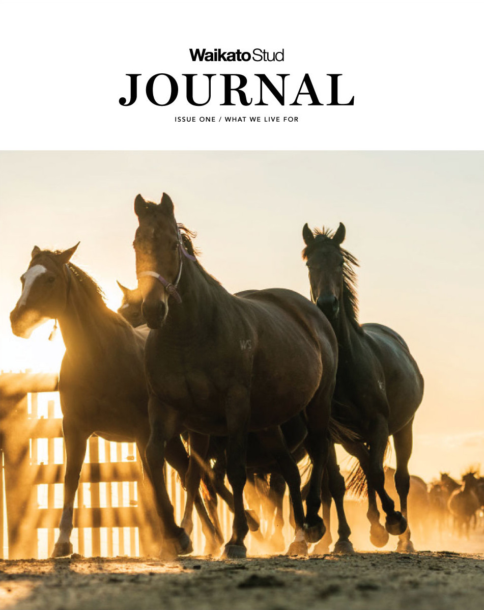 The Waikato Stud Journal, Issue One